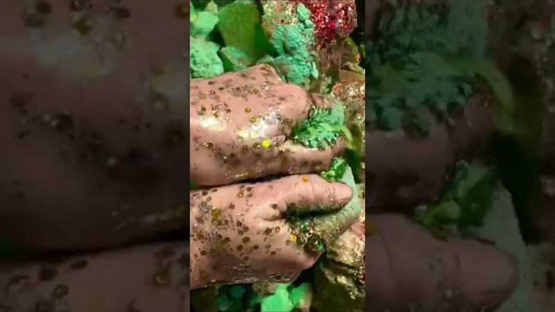 Oily Metallic Green Dyed Chalk