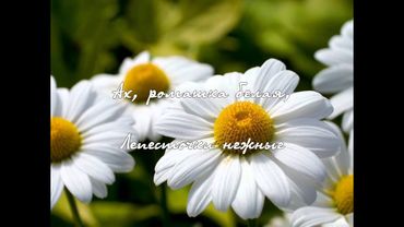 Песня "Ромашка белая" - поет Николай Гнатюк