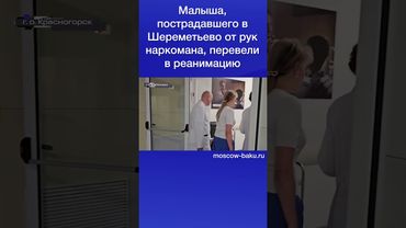 Малыша, пострадавшего в Шереметьево от рук наркомана, перевели в реанимацию