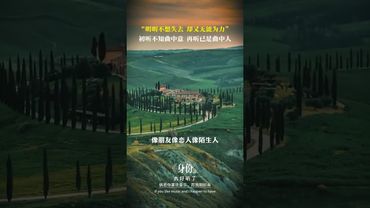 明明不想失去，却又无能为力。《身份》#人生感悟 #正能量 #情感共鸣