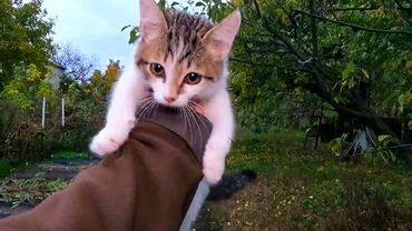 #Славянск. 25 октября 2025г. Вечер.