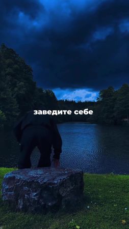 TikTok video #7599461809862610198