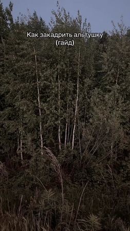 TikTok video #7516570688820563207