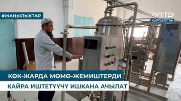КӨК-ЖАРДА МӨМӨ-ЖЕМИШТЕРДИ КАЙРА ИШТЕТҮҮЧҮ ИШКАНА АЧЫЛАТ