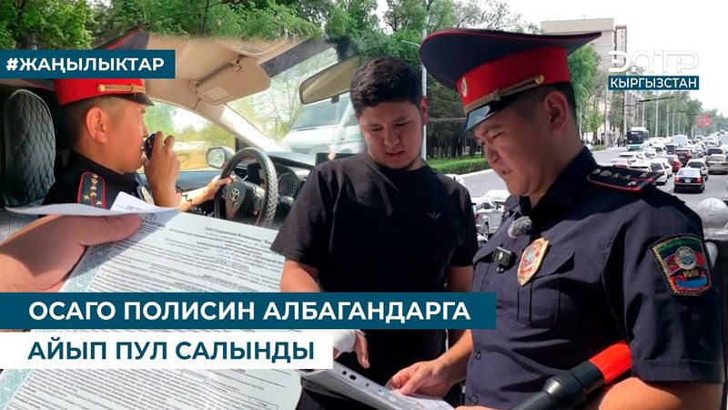 ОСАГО ПОЛИСИН АЛБАГАНДАРГА АЙЫП ПУЛ САЛЫНДЫ