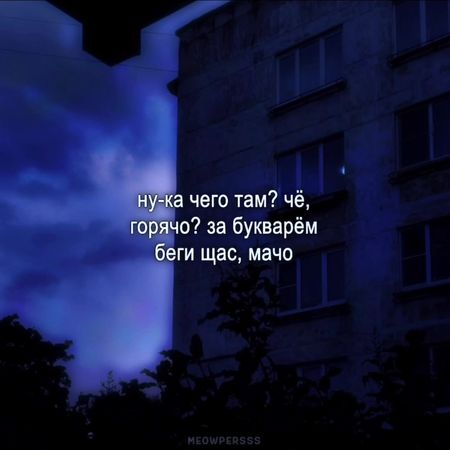 за букварём беги щас, мачо // #meowpersss #lyrics #нучётычётычё #дуйк...