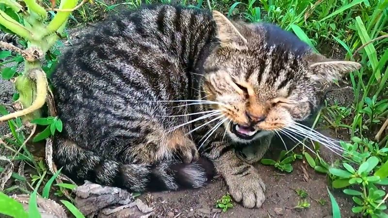 #Славянск. 8 августа 2025г. Вечер.