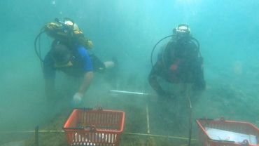 Древнейшее в Европе озёрное поселение раскапывают в Албании