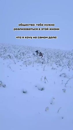 TikTok video #7589967766443314453