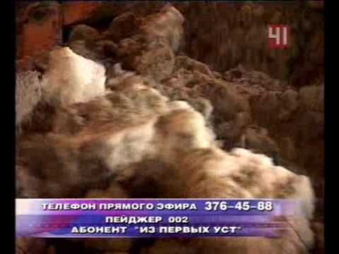 Транспортная карта