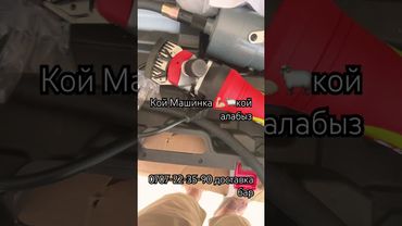 Кой машинка кой алабыз