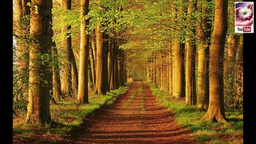 Исцеление внутреннего ребенка Луиза Хей