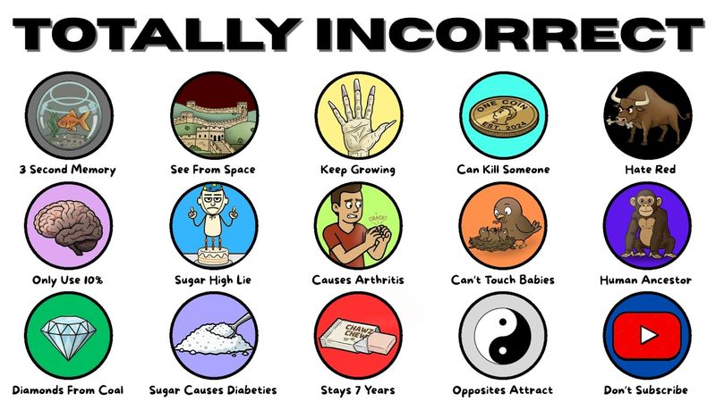 More Totally Incorrect Facts Everyone Still Believes