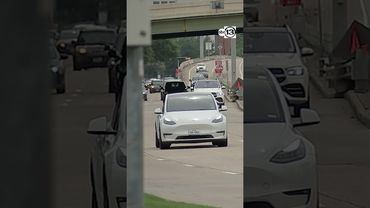 Harris County Pct. 4 Constable's Office warns drivers to protect plates with thefts expected to rise