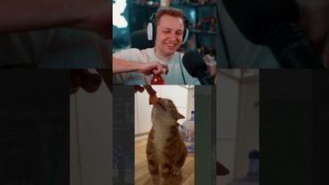 критический провал #стинт #stint #stintik #прикол #реакция