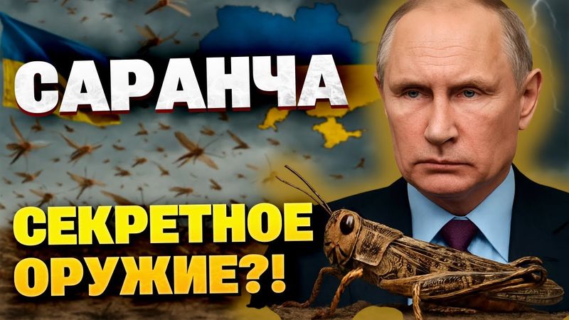 Саранча в Украине: начало экологического кошмара?