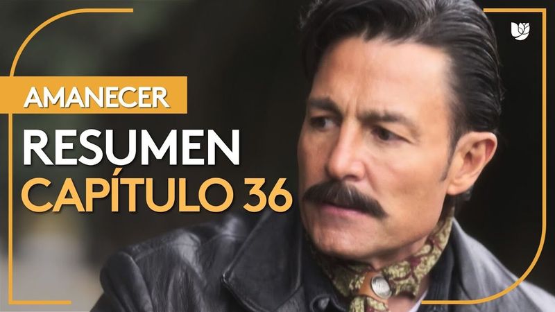Amanecer | Capítulo 36 - Resumen