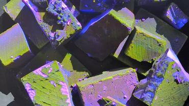 Purple Gym Chalk Crush 👾