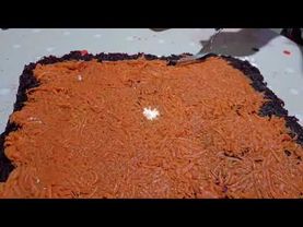 СЕЛЬДЬ ПОД ШУБОЙ.  / РУЛЕТОМ. /  ОЧЕНЬ ВКУСНО и КРАСИВО !  ❤️☃️❤️