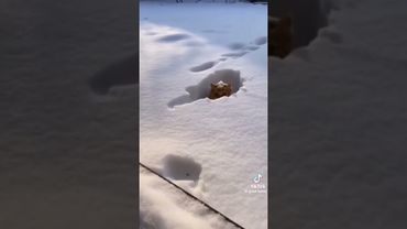 за секунду до 😂😂😂