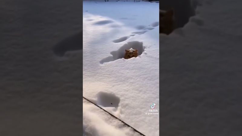 за секунду до 😂😂😂