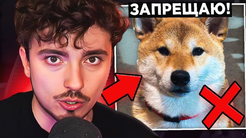 😨 ЭДИСОН ЗАПРЕЩАЕТ Тебе ЗАВОДИТЬ СОБАКУ ! ДАША и ЭДИСОН ПЕРЕЕЗЖАЮТ ! *ДЕТИ? НОВАЯ СОБАКА ЭДИСОНА!*