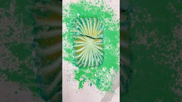 Dusty Soft Reform #rainbowsoap #oddlysatisfying #relax #satisfying #crunchycrumbles