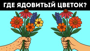 16 загадок, которые научат вас подмечать все детали