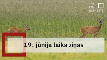 Ceturtdien visā Ltvijā līs, vietām stipri un ar negaisu