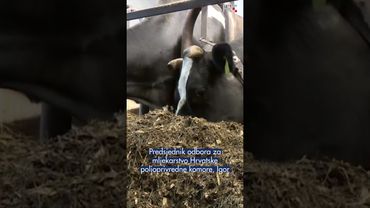 Manjak državnih poticaja dovodi do ozbiljnih problema u gospodarstvu. #HRTDnevnik #drzava #posao