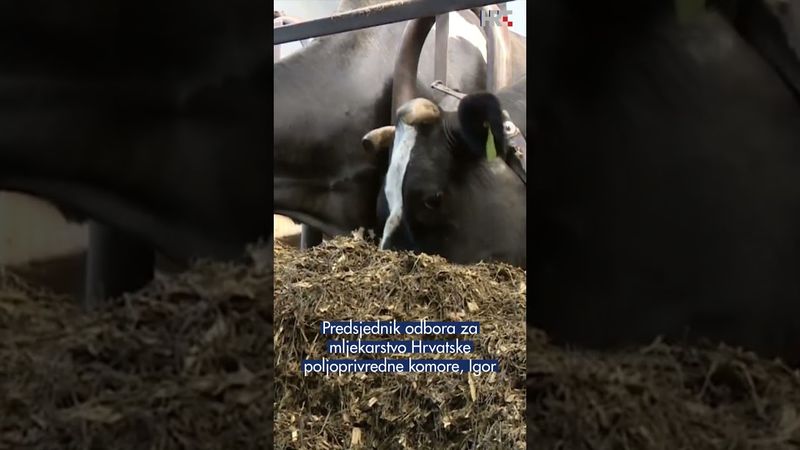 Manjak državnih poticaja dovodi do ozbiljnih problema u gospodarstvu. #HRTDnevnik #drzava #posao