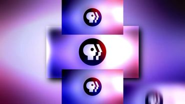 запрошено: PLPMV PBS Scan