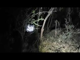 Descalabran a bruja por eso no hacen películas de terror en México 😂