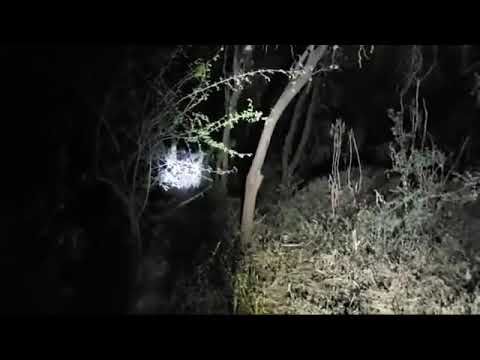 Descalabran a bruja por eso no hacen películas de terror en México 😂