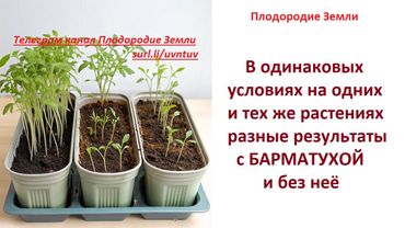 Эксперимент нашего подписчика и друга канала.РАССАДА с БМ и БЕЗ, минимум света, ч  1№ 753/25
