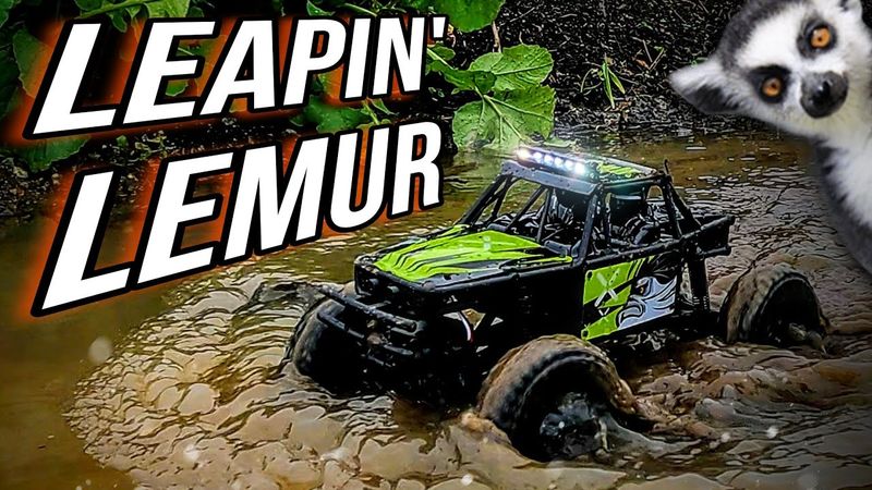 WHAT'S THIS RC Trying to BE?? - The FMS FCX24 LEMUR