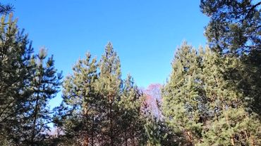 Как правильно организовать свой отдых?