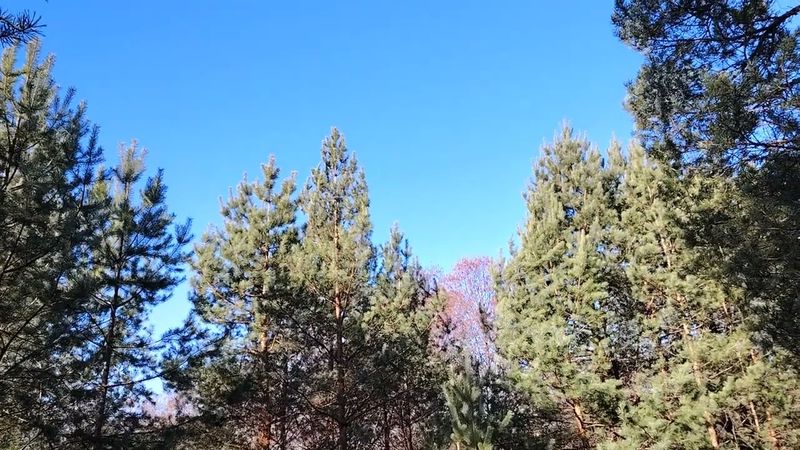 Как правильно организовать свой отдых?