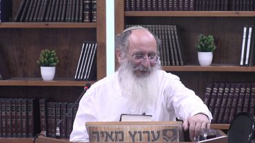 דור המאספים הנגשת התורה לציבור ותחומי הלכה חדשים - מבוא לתושב"ע שיעור 20 | הרב אורי שרקי