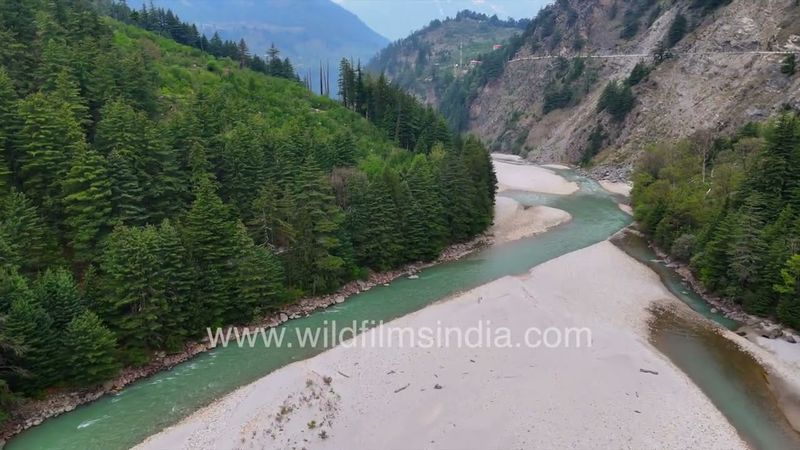 Dharali Bridge before Mukhba - Gangotri, Uttarakhand, with blue-green Ganga flowing past white sands