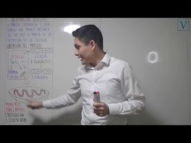 TEMA 12 - RESPIRACIÓN CELULAR