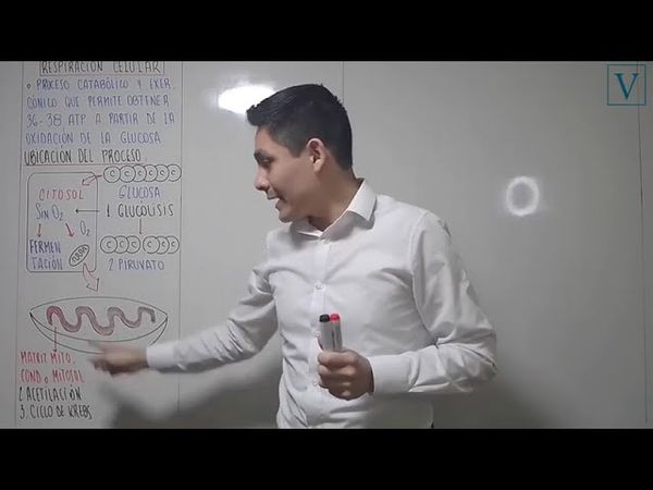 TEMA 12 - RESPIRACIÓN CELULAR