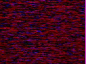 Во время профилактики (НТВ (г. Барнаул), 20.07.2016)