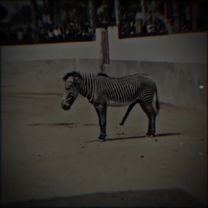 TikTok video #7586750540755782919