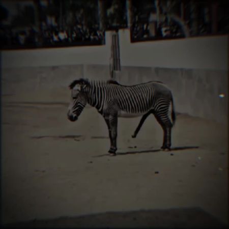 TikTok video #7586750540755782919