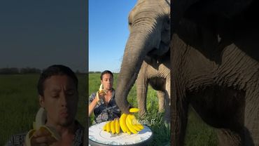 Solo son dos platanitos de na