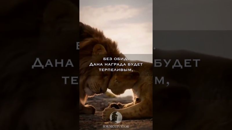 Мотивация, терпение, Лев