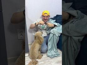 ОНИ ХОТЕЛИ МОРОЖЕНОЕ #прикол