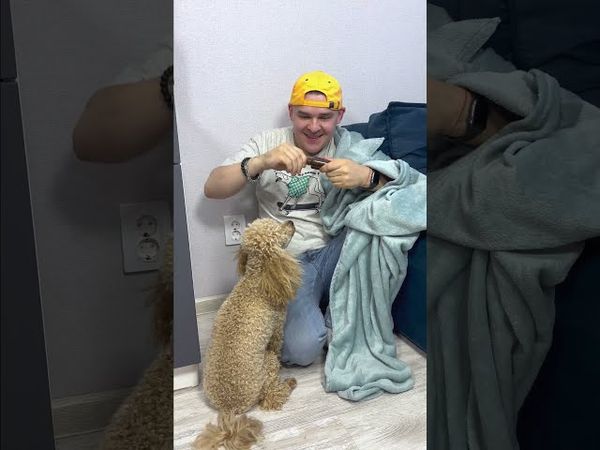 ОНИ ХОТЕЛИ МОРОЖЕНОЕ #прикол