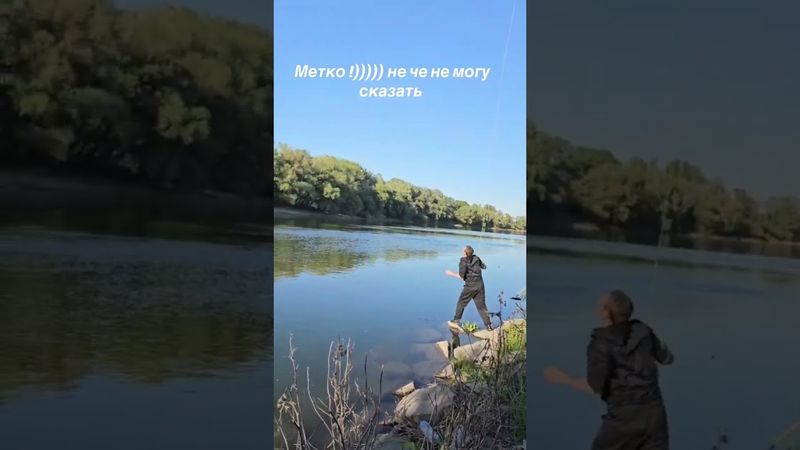 Меткий стрелок )